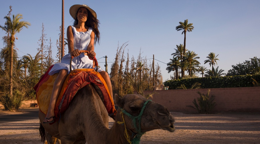 camel ride, caravanian, morocco desert