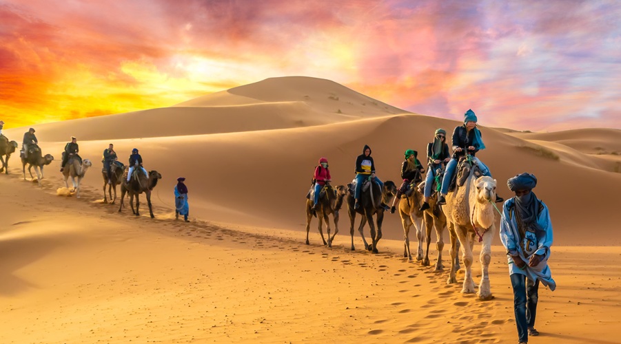 camel ride, caravanian, morocco desert